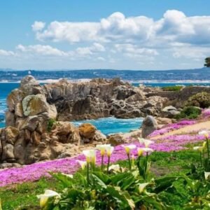 Monterey