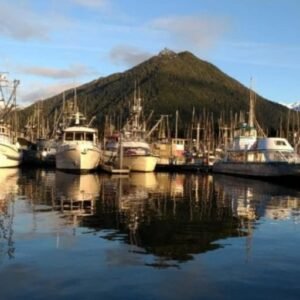 King Salmon