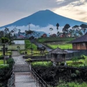Purbalingga