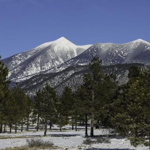 Piedmont Airlines Flagstaff Office in United States