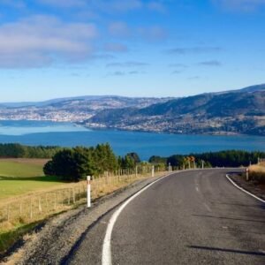 Dunedin