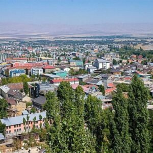 Muş