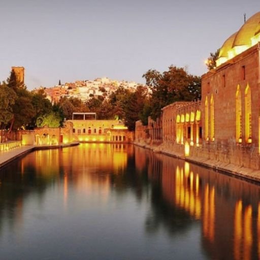 Pegasus Airlines Şanlıurfa Office in Turkey