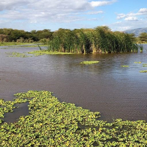 Lake Manyara