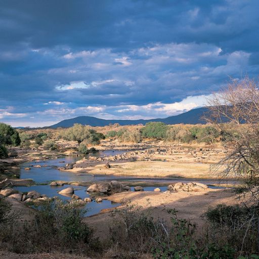 Auric Air Ruaha Office in Tanzania