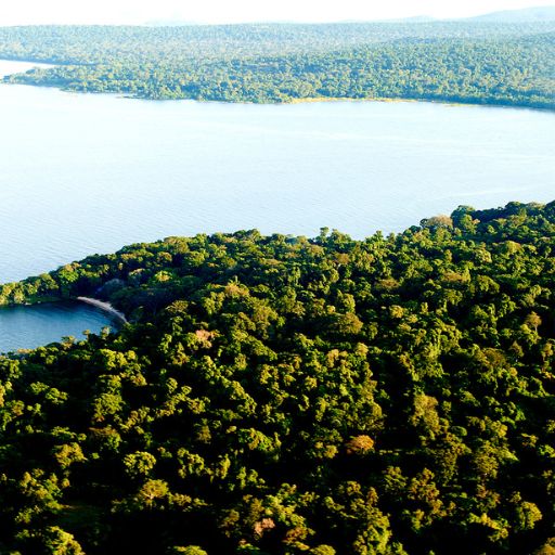 Auric Air Rubondo Island Office in Tanzania